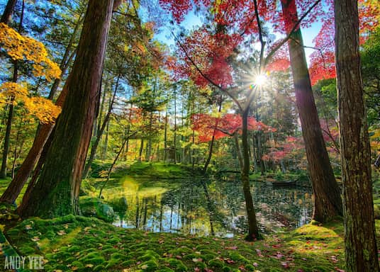 Kyoto, Japan