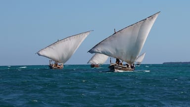 On the return trip from Menai Bay to Fumba, the sails are set on all the dhows, making for quite the sight.