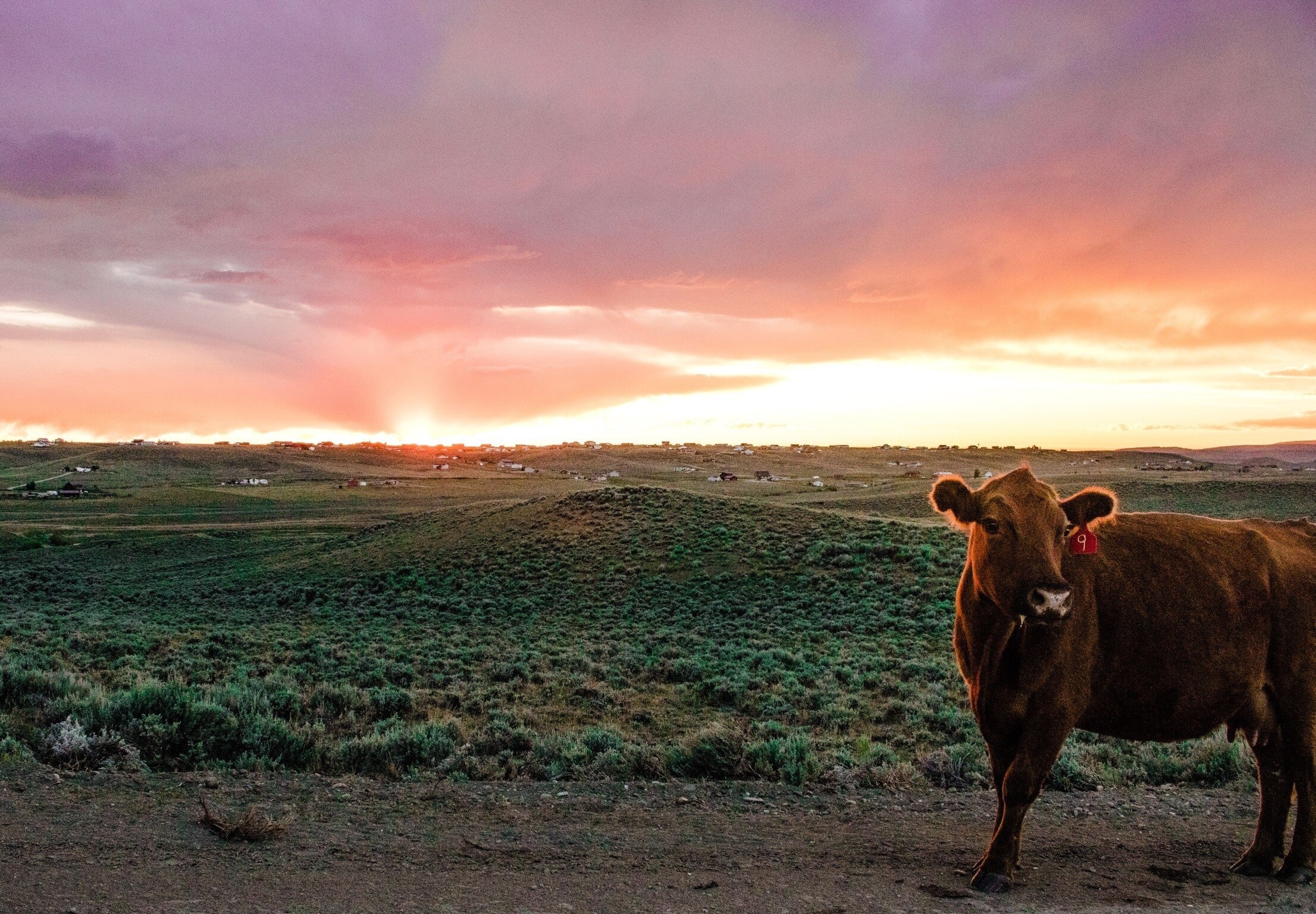 Reisetipps Butte 2022 das Beste in Butte entdecken Expedia