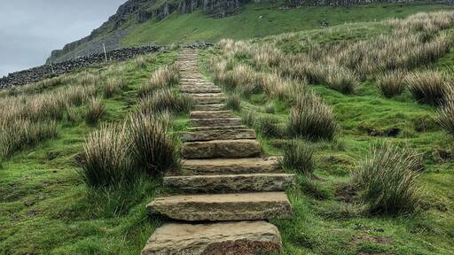 Foto tomada por Neil Ellwood