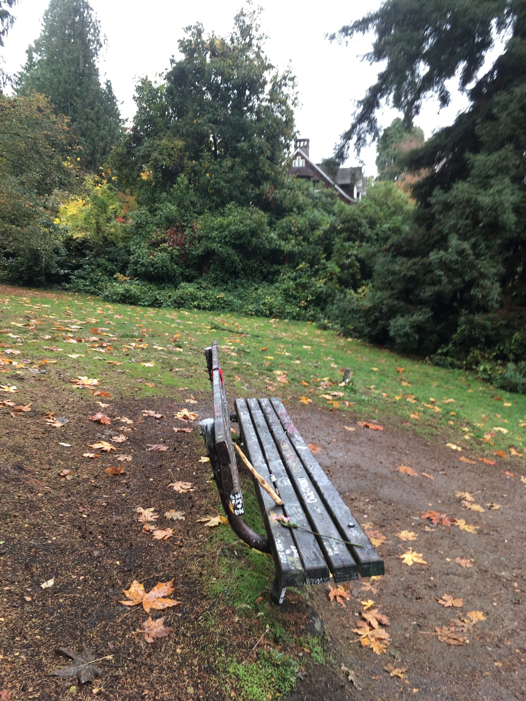 Viretta Park is located to the south of the former home of Kurt Cobain, where he died. Nirvana fans gather at the park on the anniversary of Cobain's death (April 5), and to a lesser extent on his birthday (Feb 20), to pay tribute to the musician.

The park's wooden benches, serving as the de facto memorial to Kurt Cobain in Seattle, are covered with graffiti messages to the rock icon. There has been much speculation over the years on whether the name of the park should be changed to "Kurt's Park", due to the late rock icons large fan base.