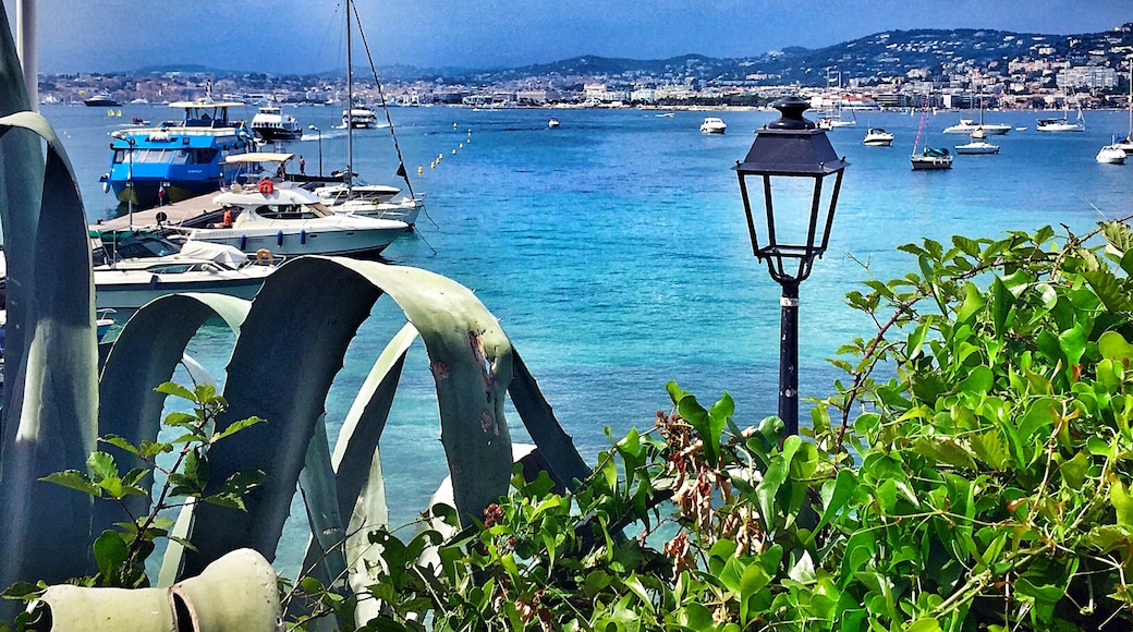 Île Sainte-Marguerite, Cannes, Département Alpes-Maritimes, Frankreich