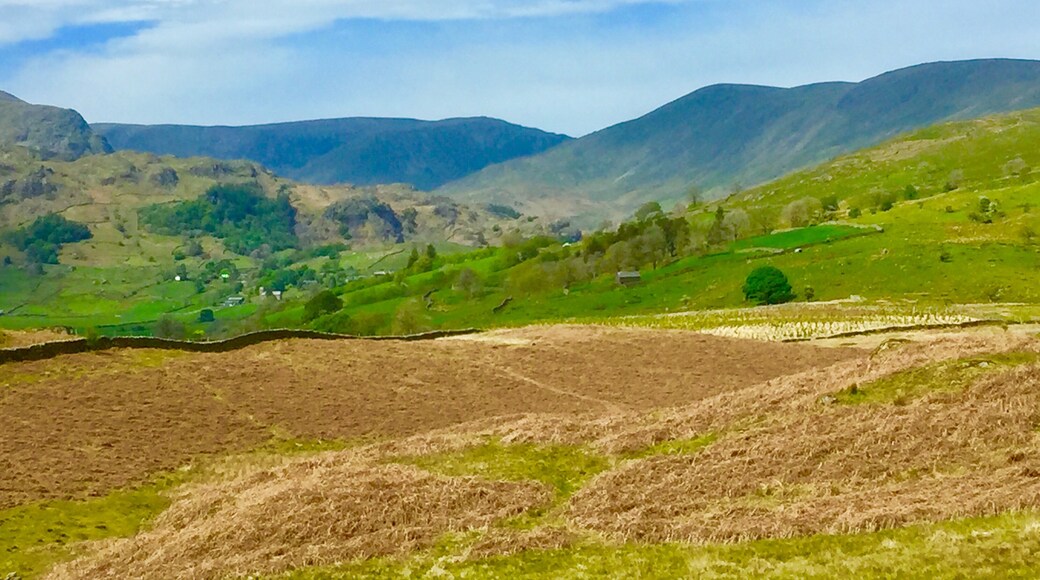 Foto av Kathy Appleby