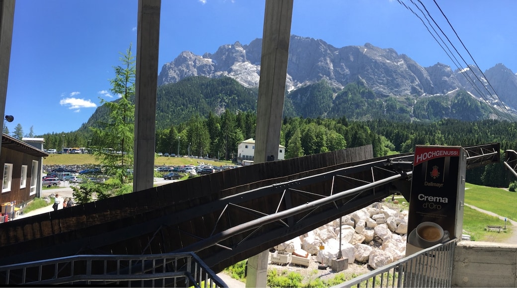 Photo by Sharon Leath