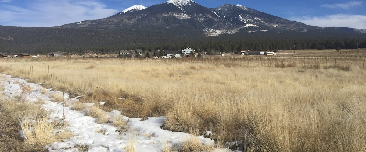 Too crowded to go up mountain