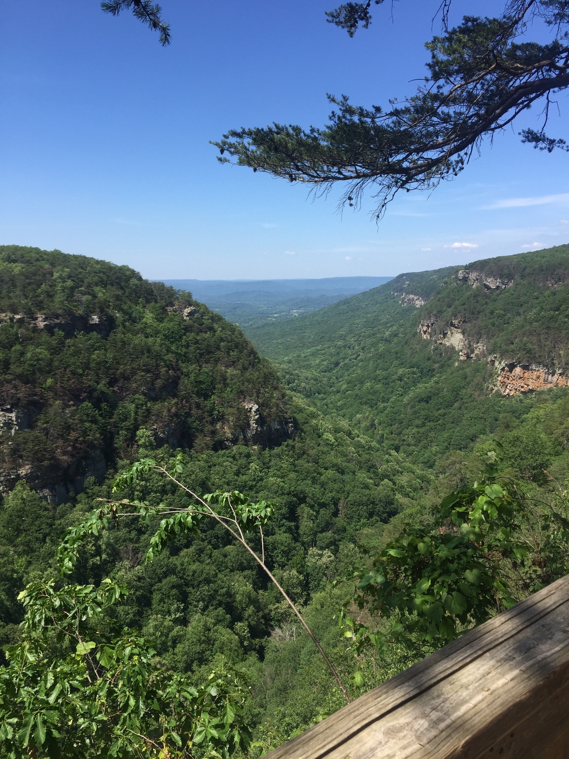 Visit Rising Fawn 2021 Travel Guide for Rising Fawn, Trenton Expedia