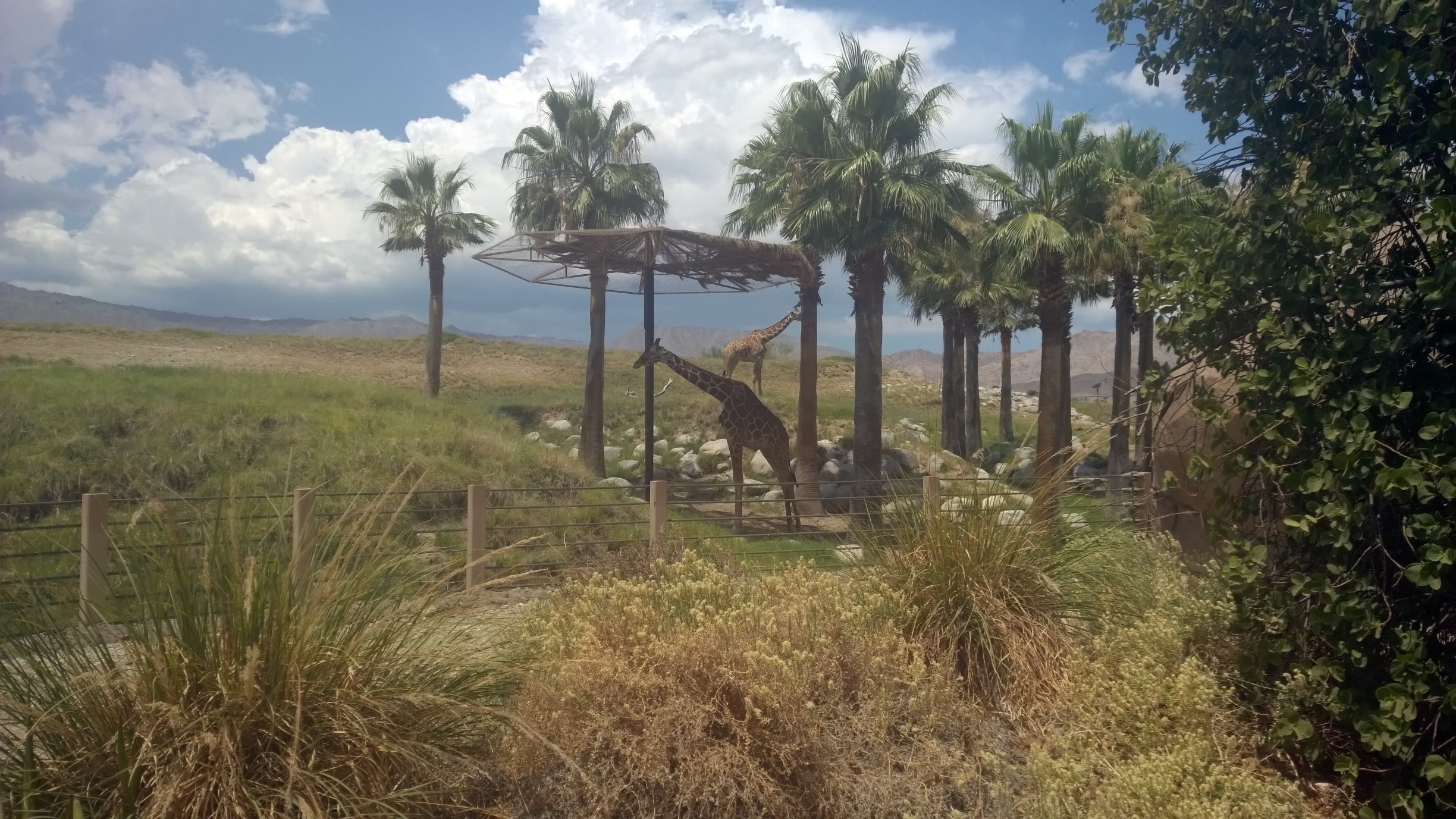 Top 20 Indian Wells, CA, US resort rentals to rent Vrbo