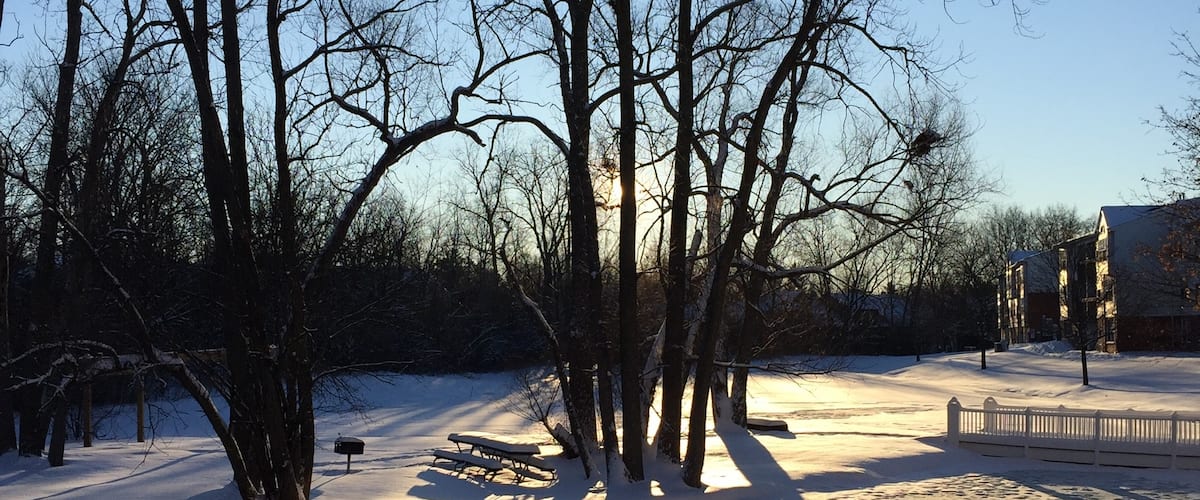 Love the view of the ponds in winter.