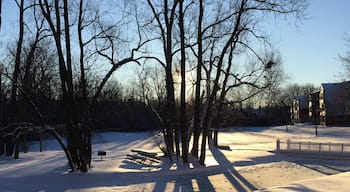 Love the view of the ponds in winter.