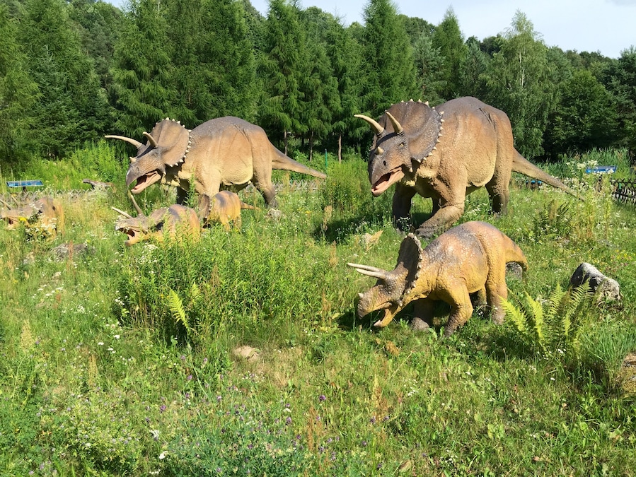 We found some dinosaurs as well 😊