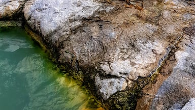 Salt 

#swingpiano #nature #nature2019 #forest #naturephotography #reflection #reflections