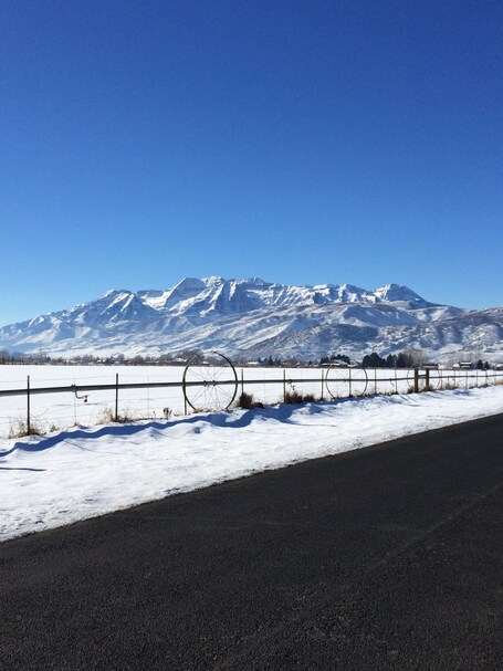 value: "Beautiful view of Mt. Timpanogos. "
