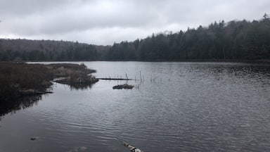 Found this place by accident. Nice hike to the lake with little waterfalls along the way. Once to the lake, look closely in the water near the shore and you might see some newts!
