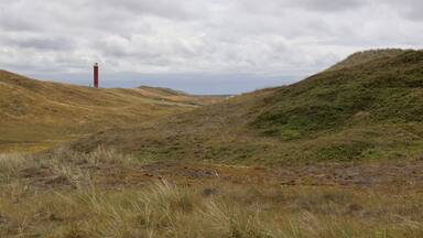 Nice view in the beautiful dunes nearby Julianadorp