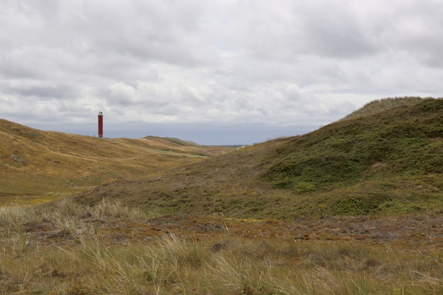 Nice view in the beautiful dunes nearby Julianadorp
