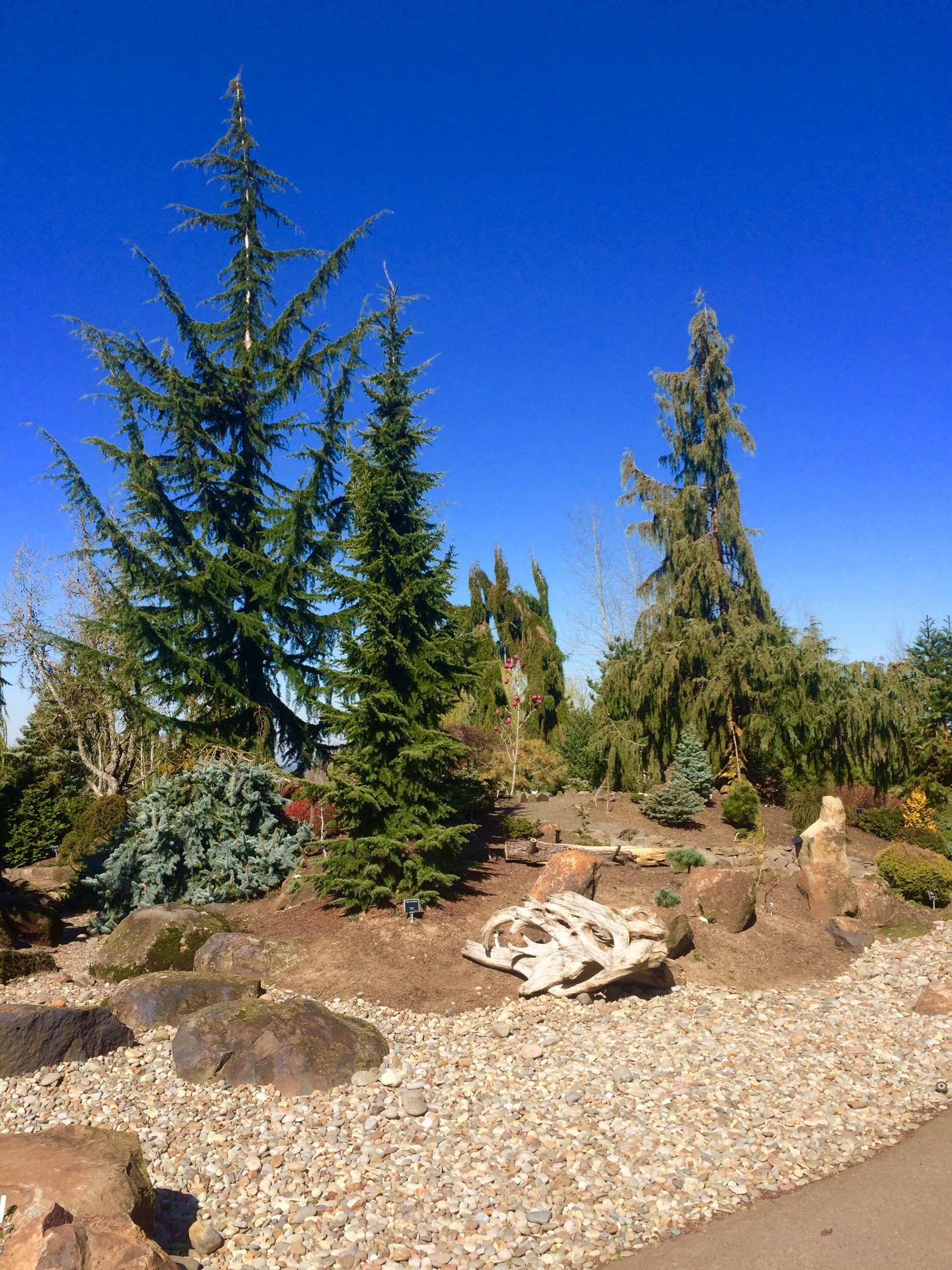Oregon Garden Vacation Rentals: house rentals & more | Vrbo