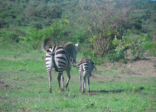 Meru, Kenya