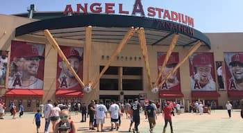 Amazing stadium!  I recommend if you're visiting Anaheim ⚾️