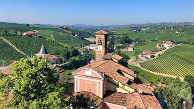 Barolo, Italy. 🍷☀️ Beautiful small town rich of history and wineries. Immersed in the northern Italian countryside, these hills is where you can find one of the most famous Italian red wines, the Barolo. The town is full of wineries that offer tastings, it’s a good day trip if you’re staying in Turin or Cuneo!
#wine #barolo #italy #countryside #hills #wineries #redwine #aboveitall