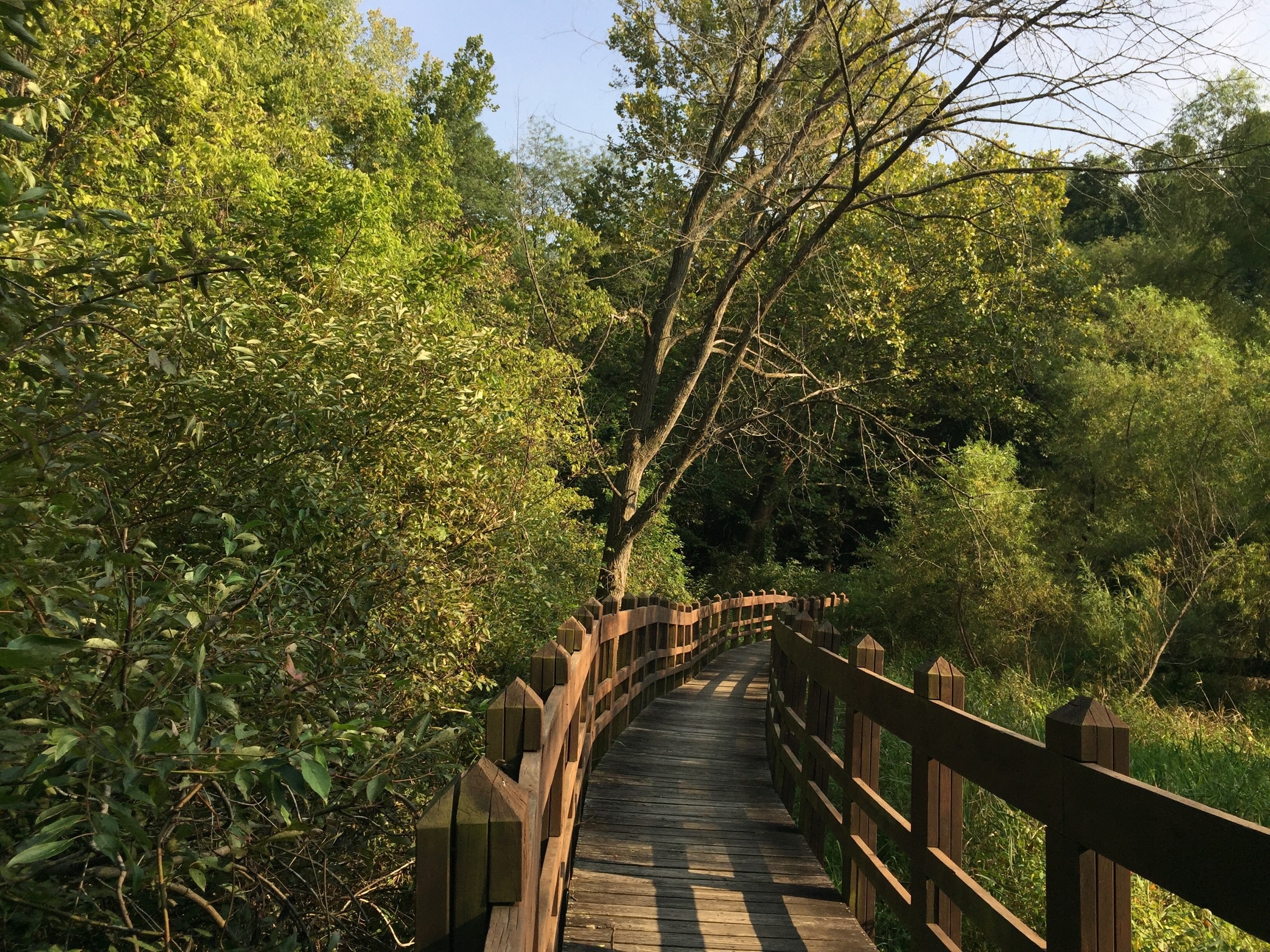 Beautiful state park with a boardwalk and hiking trails that wind around a lake shore and through a thick patch of woods. Located just off I-35, it's a great place to stretch those legs and take a break from driving.