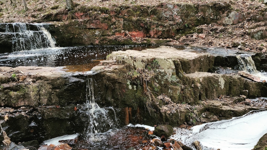 A hidden gem in The Blue Hills we always visit a few times a year.