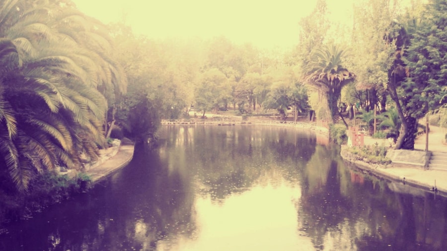 #Park of the city of #Aveiro