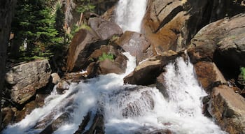 Ouzel Falls spills over a cliffside and enormous boulders, making it arguably one of the most beautiful waterfalls in Rocky Mountain National Park. Before reaching this 40-foot falls, the trail traces the course of several creeks and leads hikers past three other cascade waterfalls. A moderate 5.4 miles round trip hike