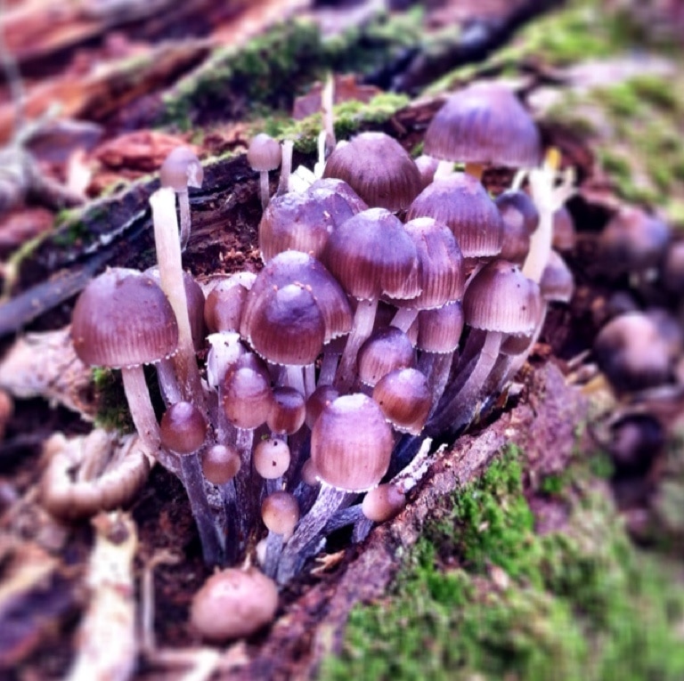 Visit Grantham 2024 Travel Guide for Grantham, England Expedia