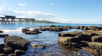 Afternoon walks at Cathrine Hill Bay. #beach #jetty #australia #ocean #myfavoutiteplace #blue #beachbound