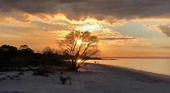 Nice sunset photo taken at the beach.