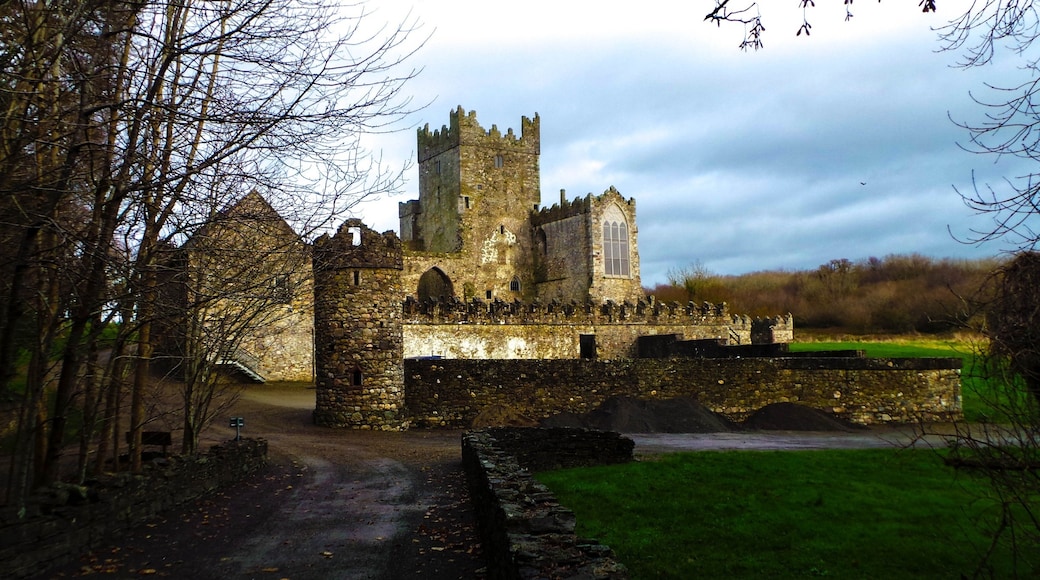 Tintern Abbey, Saltmills, County Wexford, Ireland