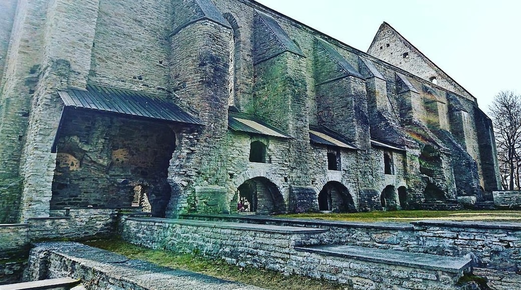 Piritan luostari, Tallinna, Harjumaa, Viro