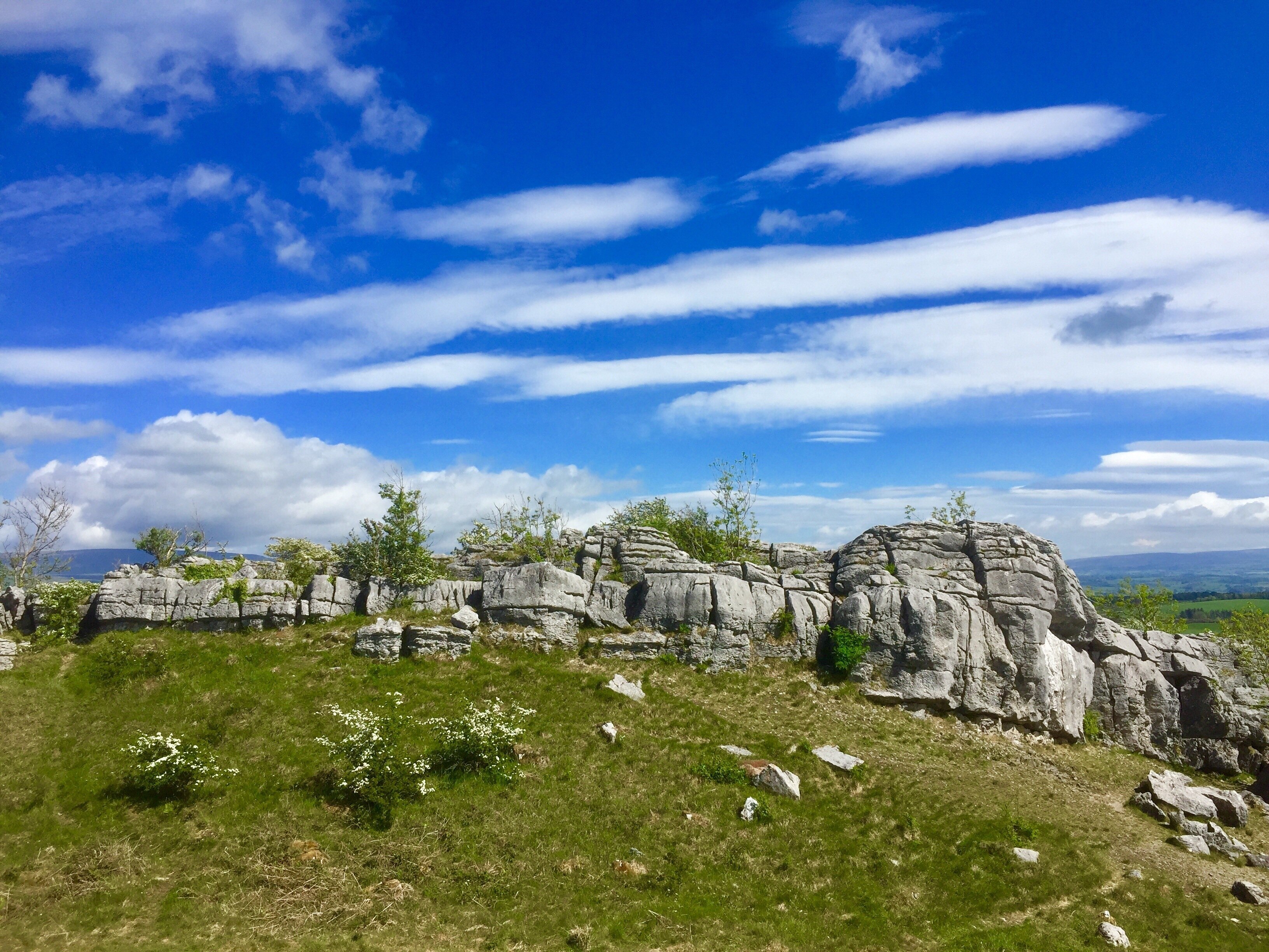 Foto av Kathy Appleby