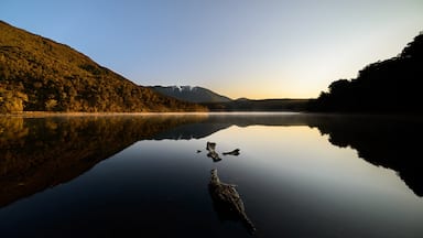A pair of stunning lakes in the foothills of the Kaweka Ranges, about a 30 minute walk in from a forestry access road, about an hours drive from Napier
