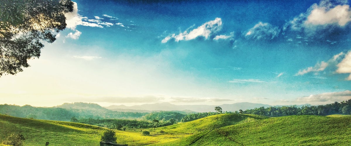 Sweet spot on a track off the road to the Cathedral Fig Tree in the Tablelands FNQ, Australia. Lush, #green, quiet, a slice of heaven. #Green   #australia #queensland