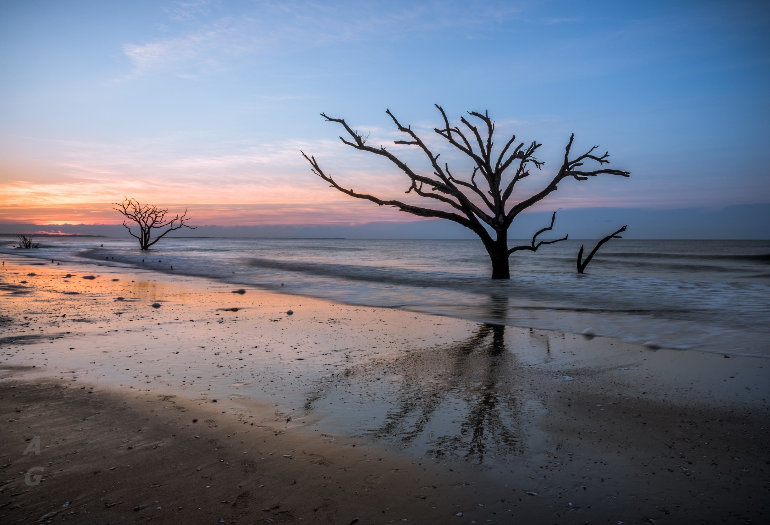 A very early morning outing at Botany Bay on Edisto Island. I had to start from my hotel at 3 AM to make it to this location before dawn. 

Botany Bay Plantation is a nature preserve and has regulated visitor hours. Gates open 30 minutes before sunrise - I wish they'd open a little sooner as the golden hour is pretty much more than half way done by the time one can make it to the beach. Nevertheless, it's a great location to visit at sunrise, especially if there are high clouds to add drama. Recommended to visit when the tide is ebbing as you then get the shadows of the trees, which to my eyes add more depth to the image. 

On this day, there was a bank of low clouds that prevented too much color but it was a great sunrise to witness nonetheless. The trees have so much character and add so much to the image. It's hard to look at the remnants of these trees and not imagine the onslaught they've withstood at the hands of mother nature. 

#WeekendGetAwayForTheFamily #colorful #USA #weekend #treetrove #blue