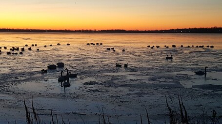 Howard Lake