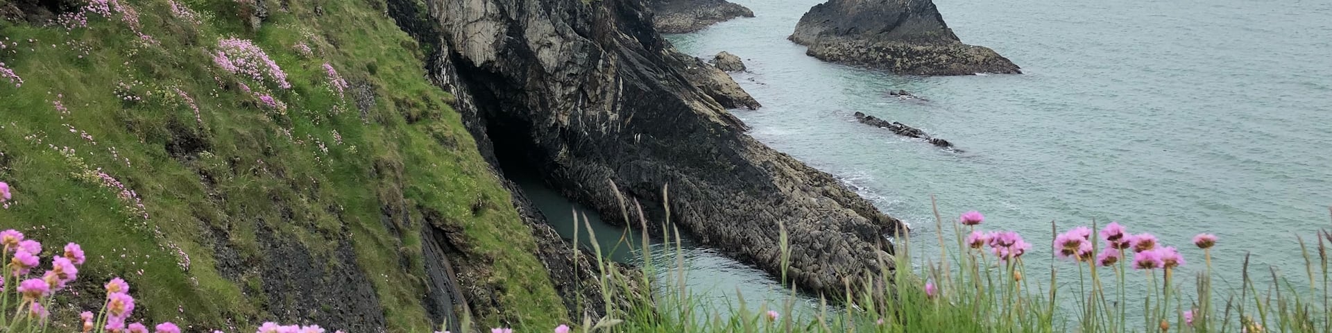 The Pembrokeshire coastal path is stunning no matter what the weather, this was taken just up the hill from Ceibwr Bay heading south