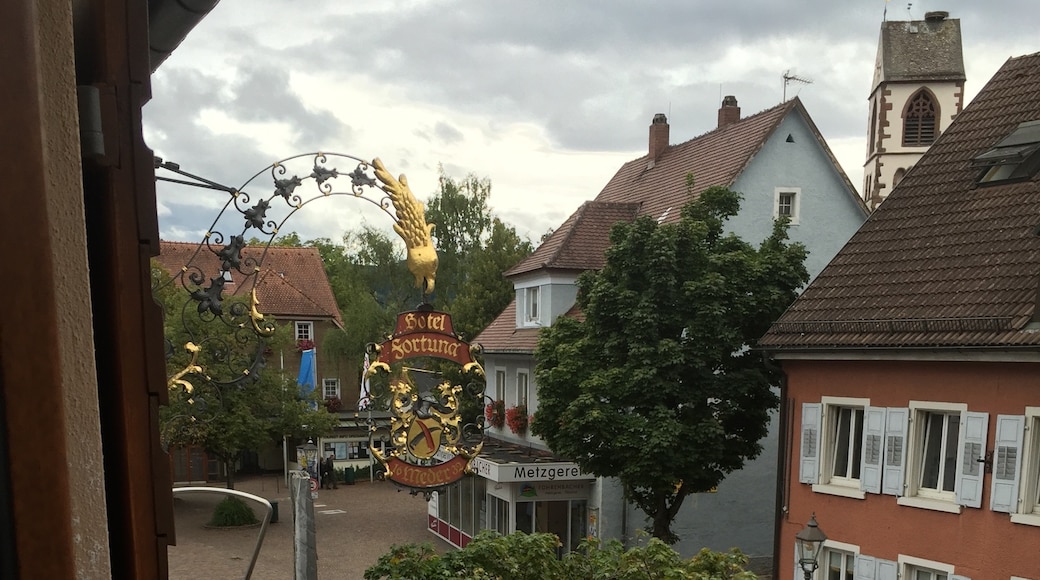Kirchzarten, Baden-Württemberg, Germany