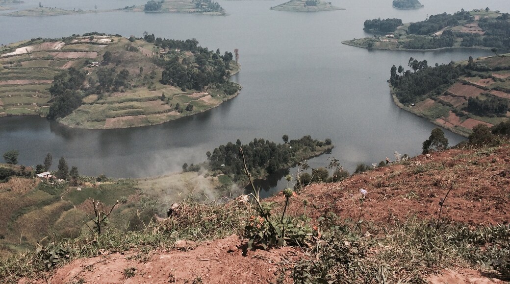 Photo par Samantha Butler