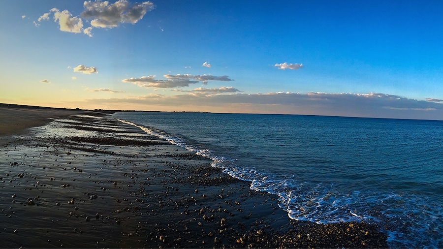 Parque costero de Duxbury