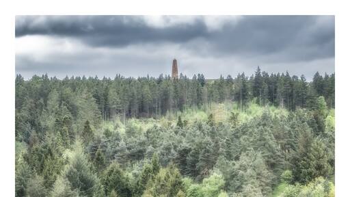 Photo by Gary Chilton