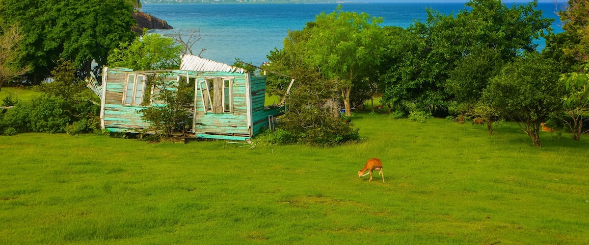 Petite Martinique is a small island off of Grenada that's 568 acres with a population of approximately 900. There's only one road and boats outnumber cars by a whole lot. It's a great destination if you want to go completely off the grid!