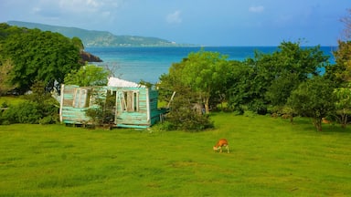 Petite Martinique is a small island off of Grenada that's 568 acres with a population of approximately 900. There's only one road and boats outnumber cars by a whole lot. It's a great destination if you want to go completely off the grid!