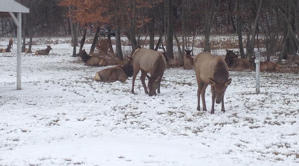Elk Country Visitor Center, Benezette, Pennsylvania, United States of America