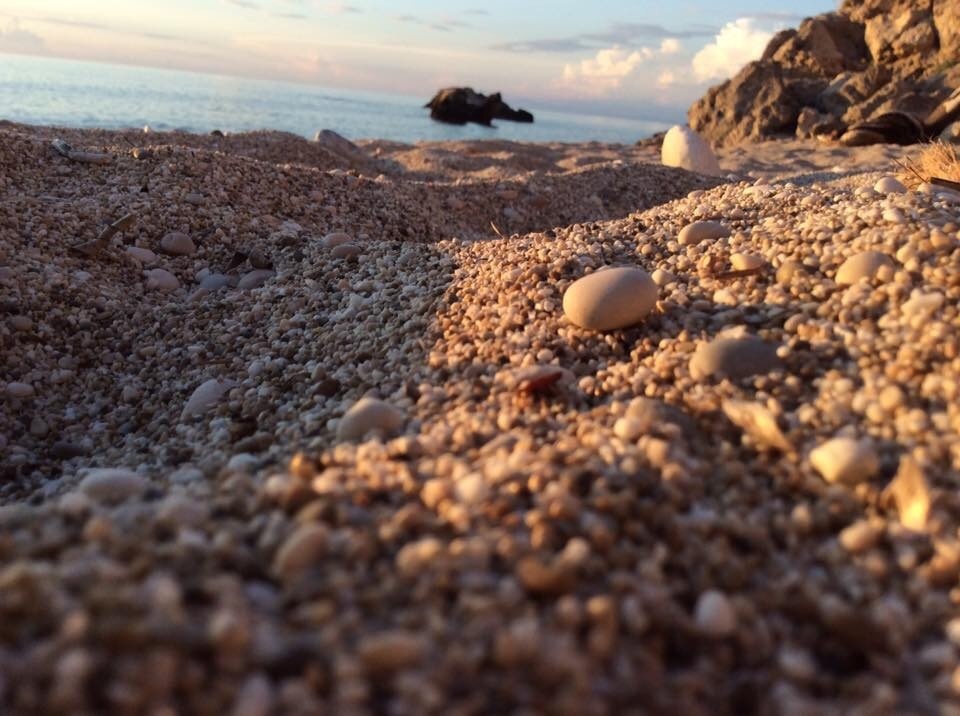 Photo by Kristopher  Zeigler