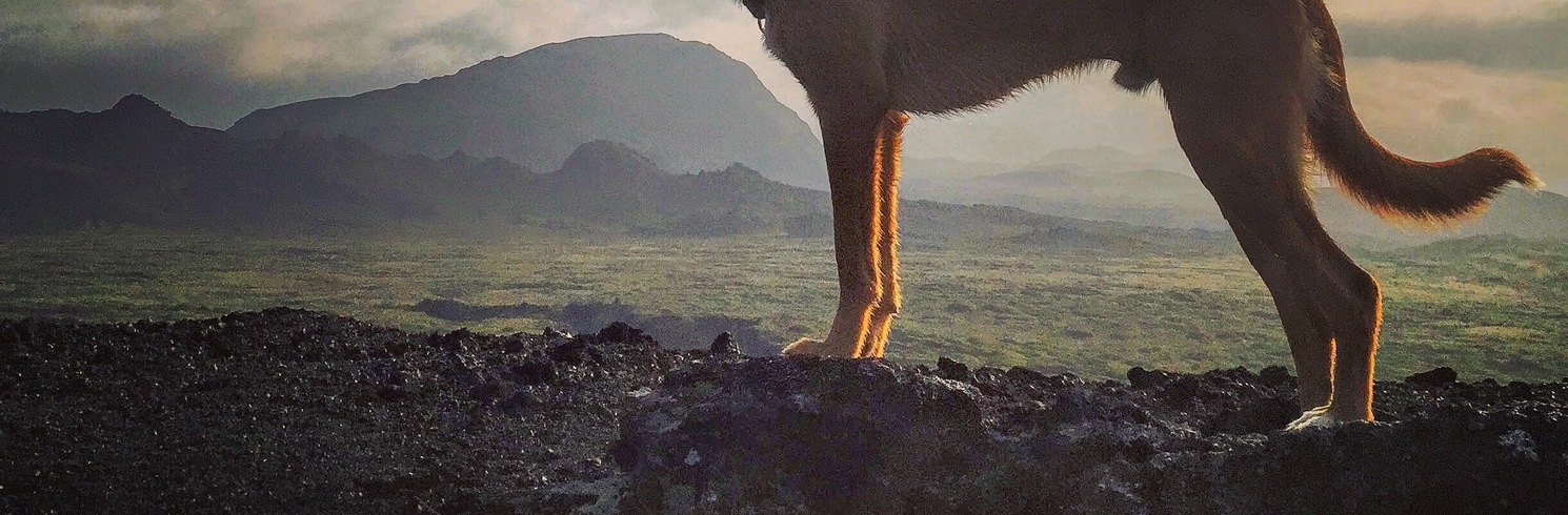Garðabær, Islandia
