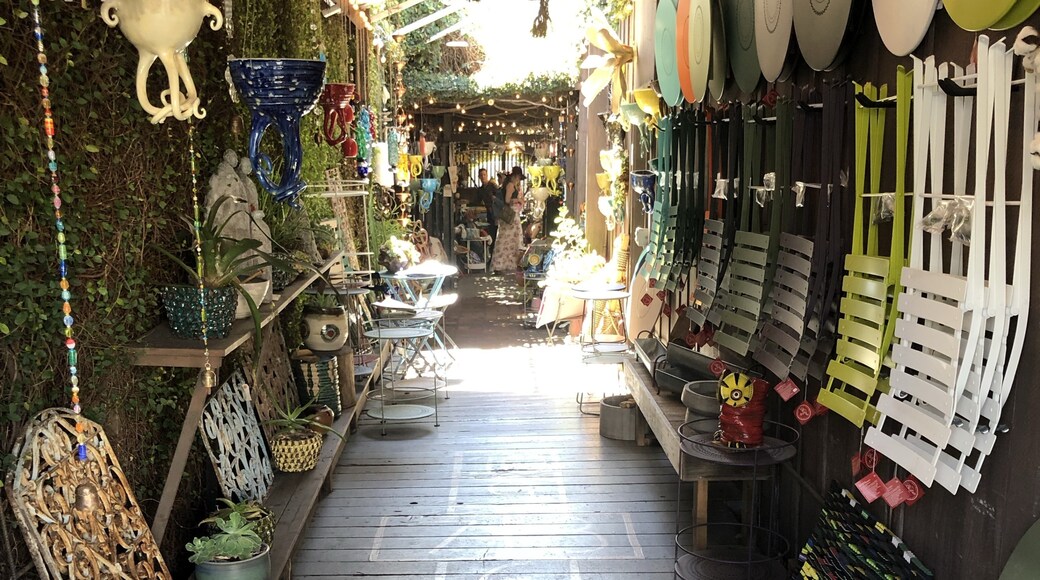 Photo by Trina Henry