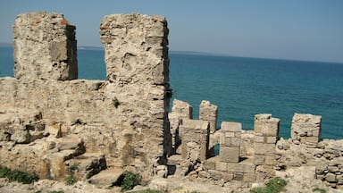 Is that a castle wall I see? They are literally everywhere in Turkey. That's the Black Sea that you are looking out towards. #Trove on