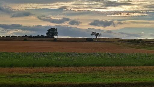 Foto av Jamie Taylor